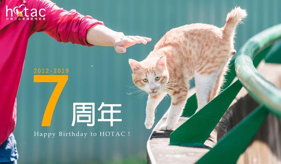 台灣之心愛護動物協會 HOTAC